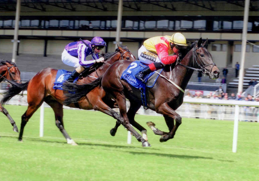 Bertie Le Belge Curragh Sun 8th June 2014